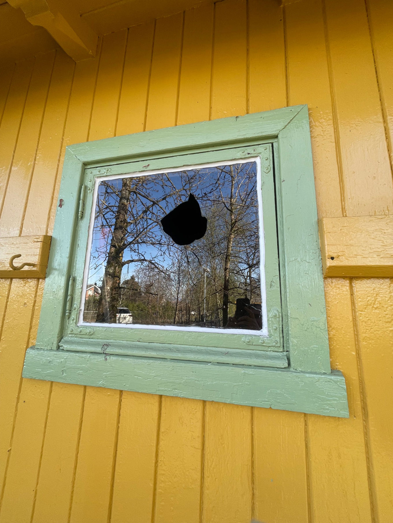 et vindu med et tre utenfor