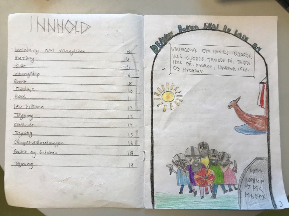 6trinnviking1.jpg