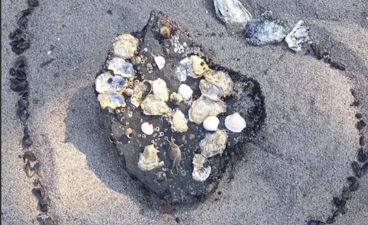en haug med steiner på en strand