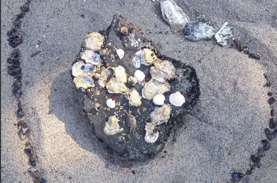 en haug med steiner på en strand