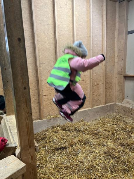 Hopp i høyet Hopp i høyet