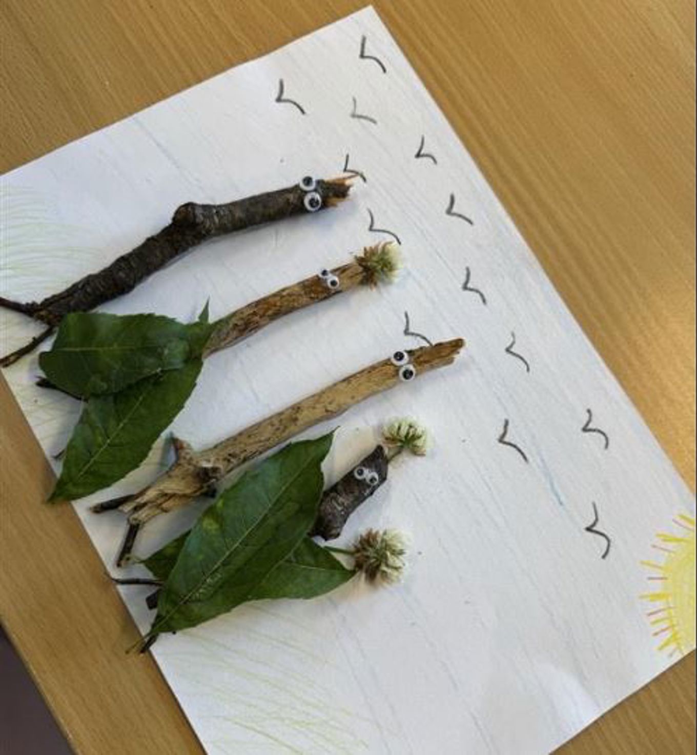 En gruppe insekter på et papir