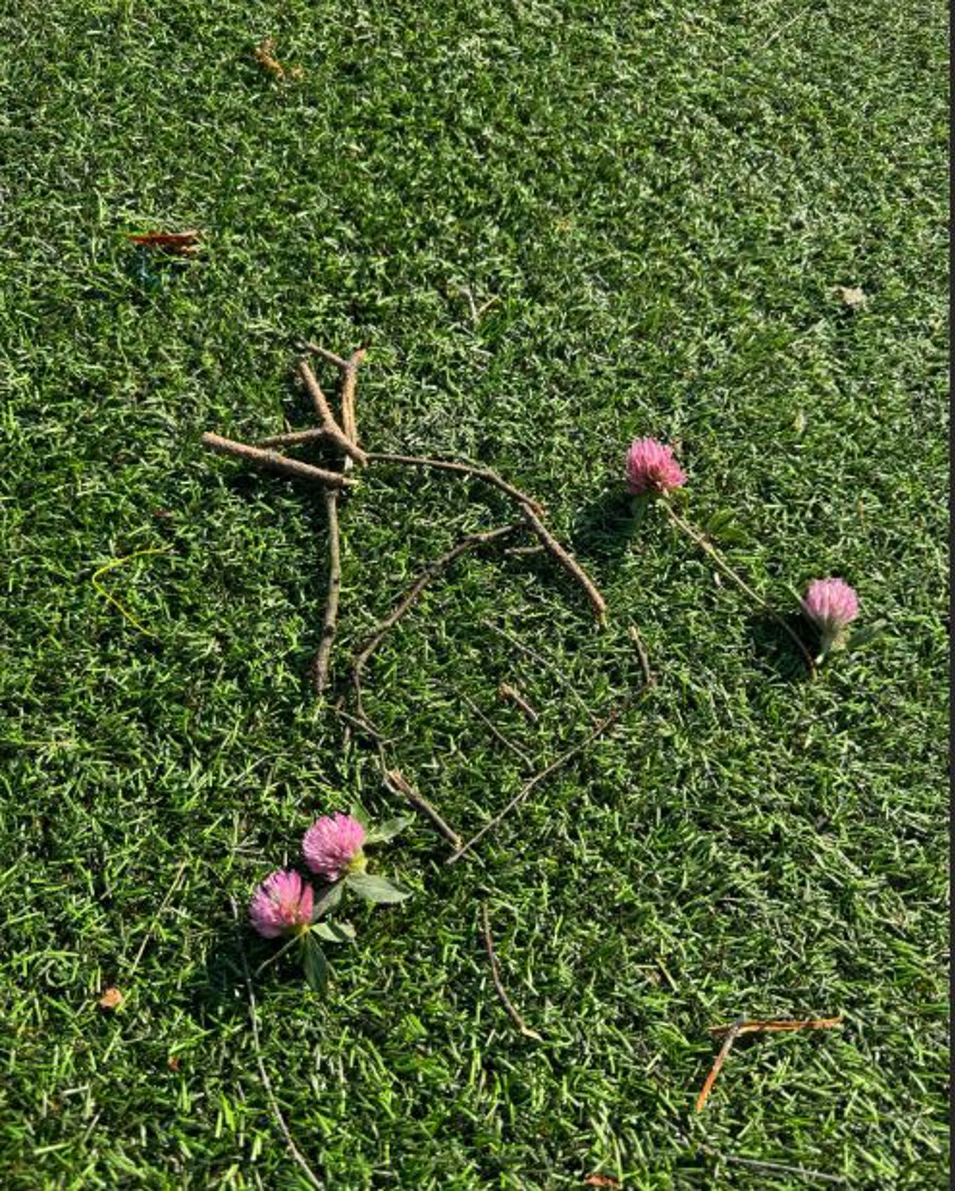 en gren med blomster på