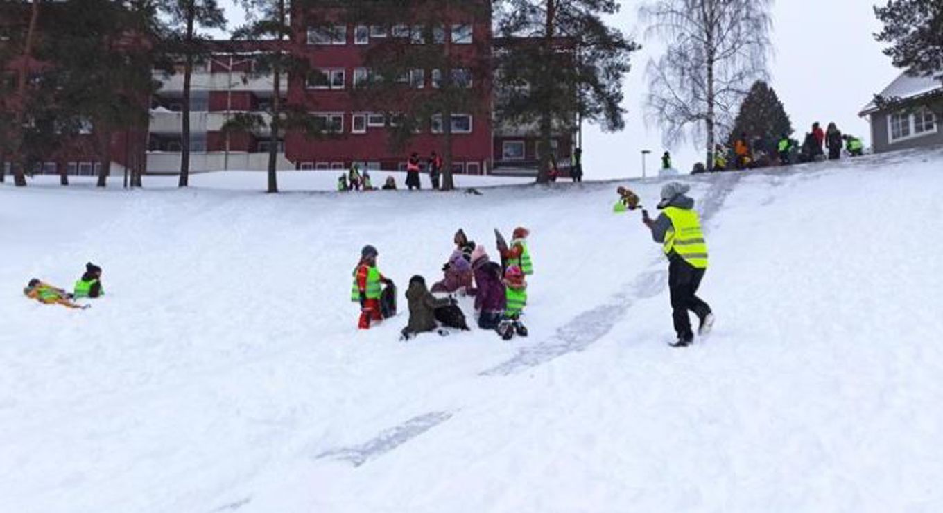 Vinterglede Vinterglede