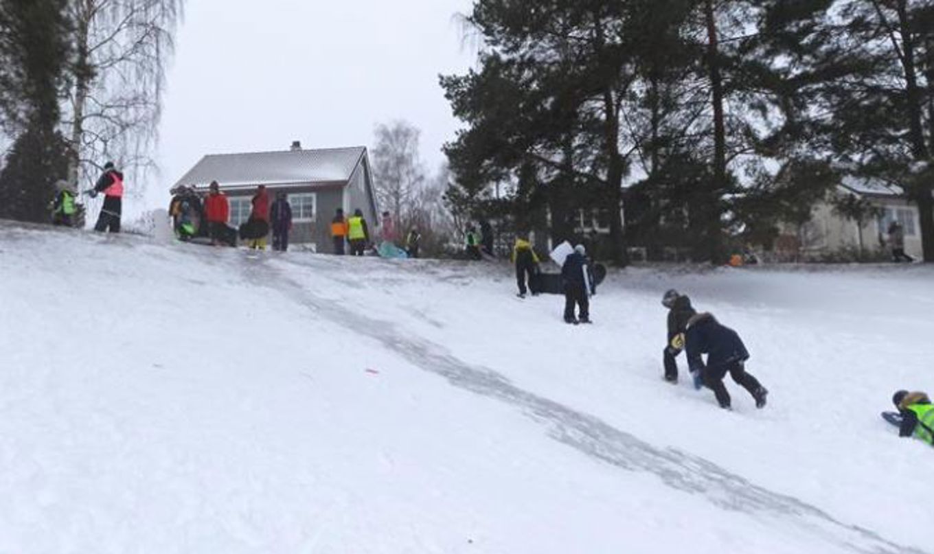 Vinterglede2 Vinterglede2