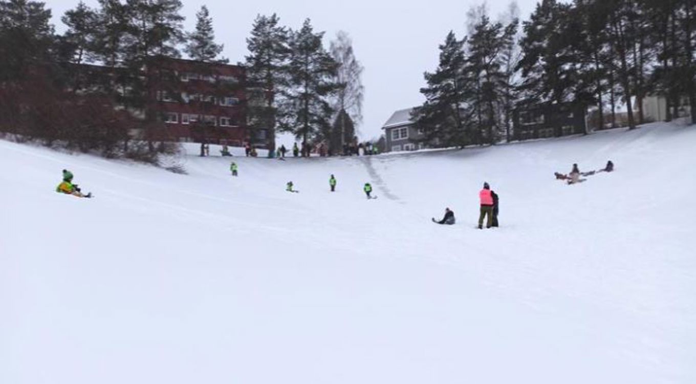 Vintergelde3 Vintergelde3